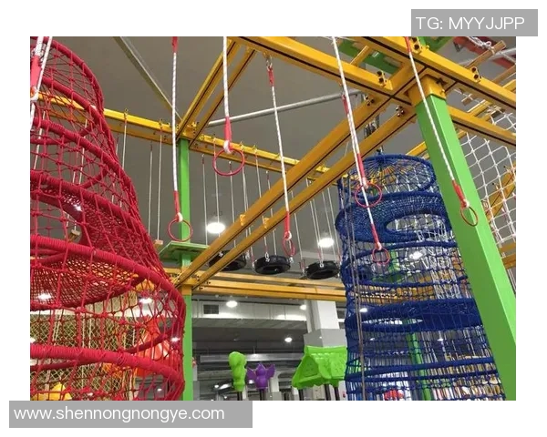 国家级青少年户外运动公园开园 打造科技与自然融合的健康乐园