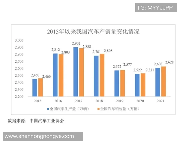 技术统计：塔图姆近5场表现一览