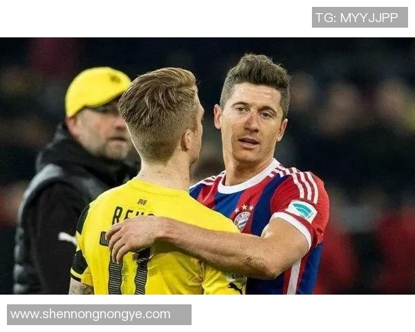 超级对决！伤病名单大战成看点之最