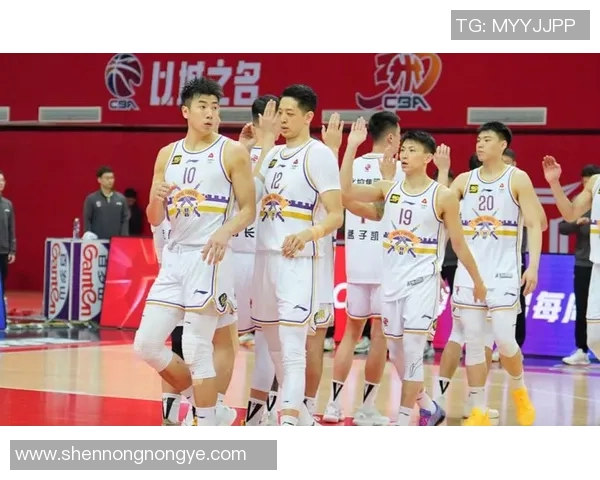 CBA球队战术创新及新兴球员表现