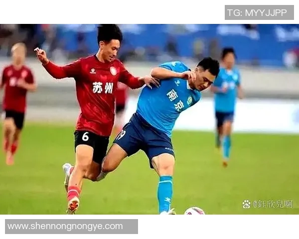 足球联赛主场优势对比赛结果的影响