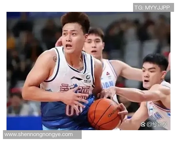 CBA球员合同谈判与转会市场分析