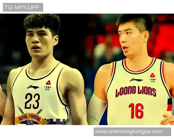 CBA球员转会市场最新动态及分析